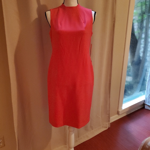 New Dress - Picture 3 of 6